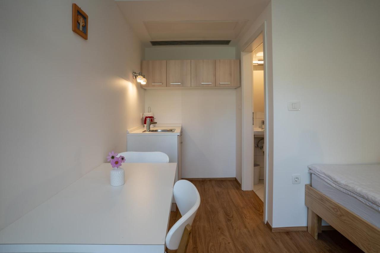 Accommodation Baron Λιουμπλιάνα Εξωτερικό φωτογραφία