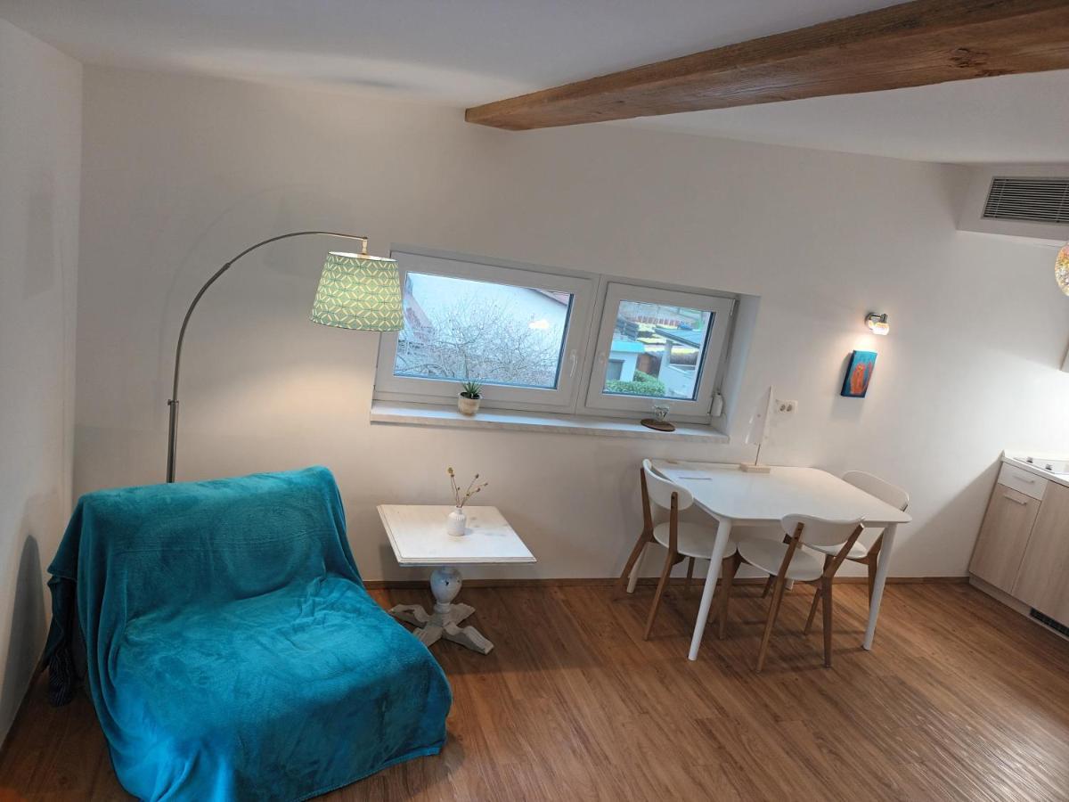 Accommodation Baron Λιουμπλιάνα Εξωτερικό φωτογραφία